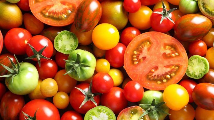 Tipos de tomates
