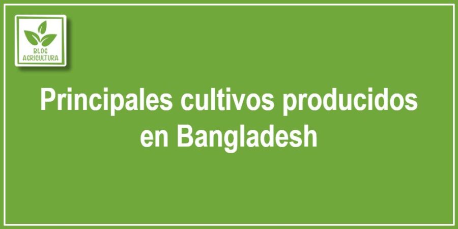 Principales cultivos producidos en Bangladesh