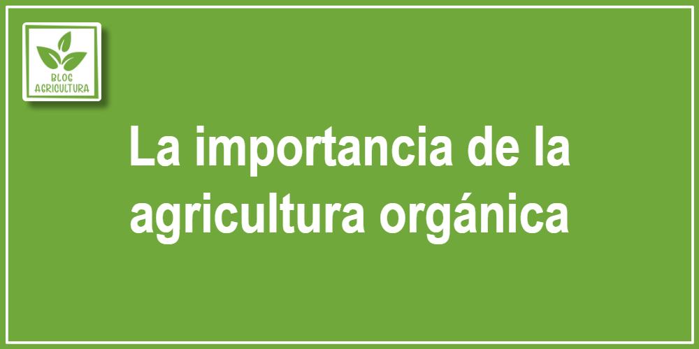 La importancia de la agricultura orgánica