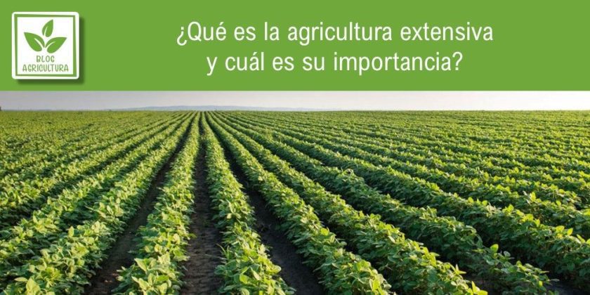 ¿qué Es La Agricultura Extensiva Y Cuál Es Su Importanciaemk 2241