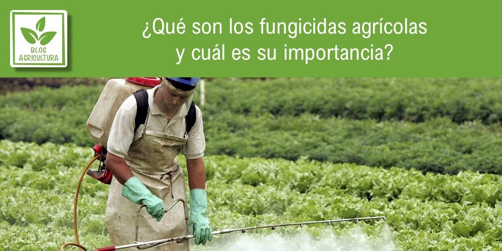 ¿Qué son los fungicidas agrícolas y cuál es su importancia?