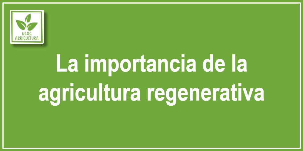 La importancia de la agricultura regenerativa
