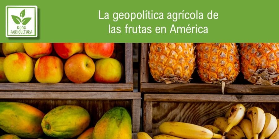 La geopolítica agrícola de las frutas en América