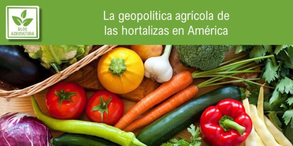 Portada del artículo sobre geopolítica de hortalizas en América