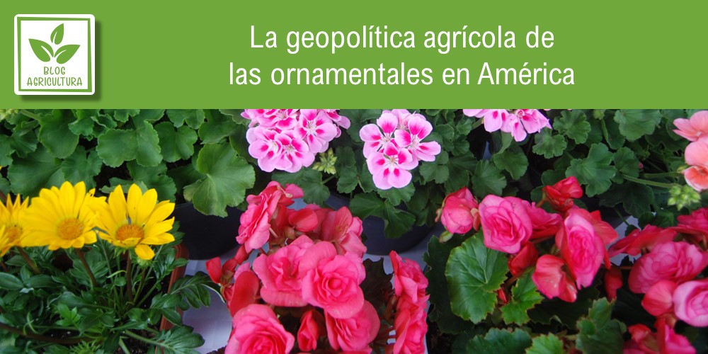 La geopolítica agrícola de las ornamentales en América