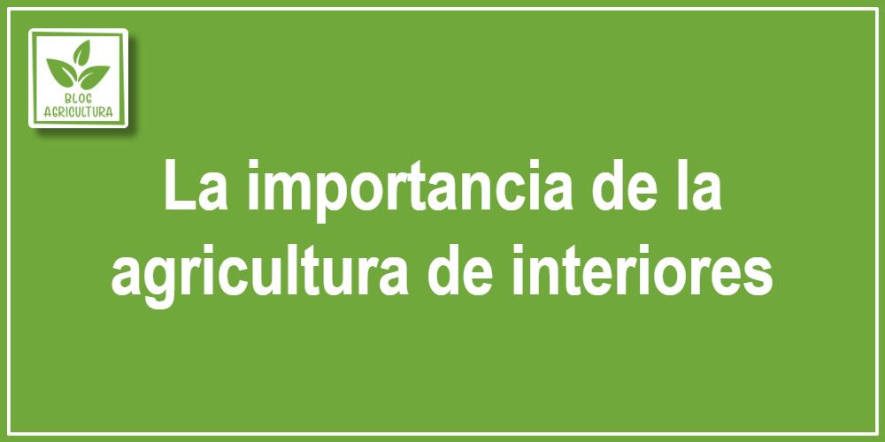La importancia de la agricultura de interiores