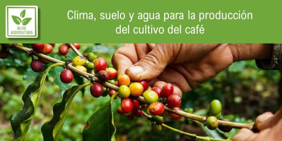 Clima, suelo y agua para la producción del cultivo del café