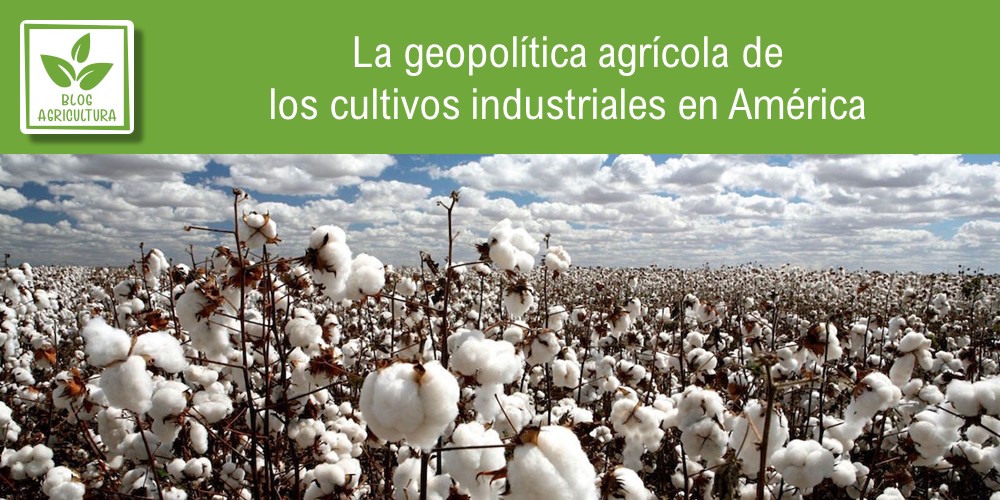 La geopolítica agrícola de los cultivos industriales en América