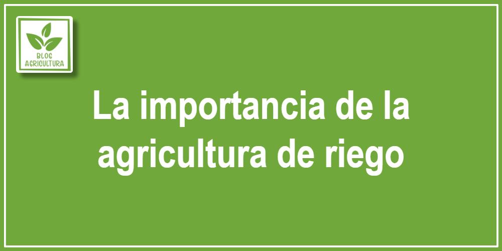 La importancia de la agricultura de riego