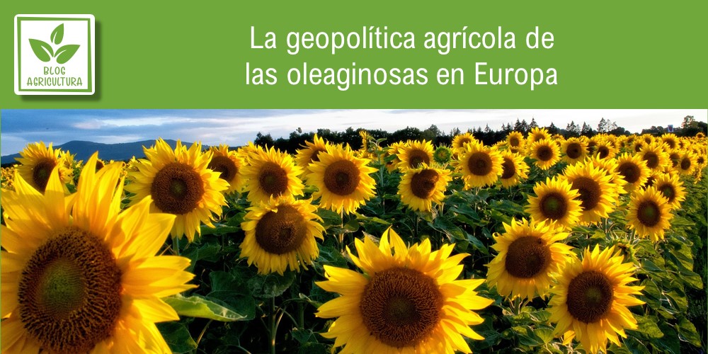 Portada del artículo sobre geopolítica de oleaginosas en Europa