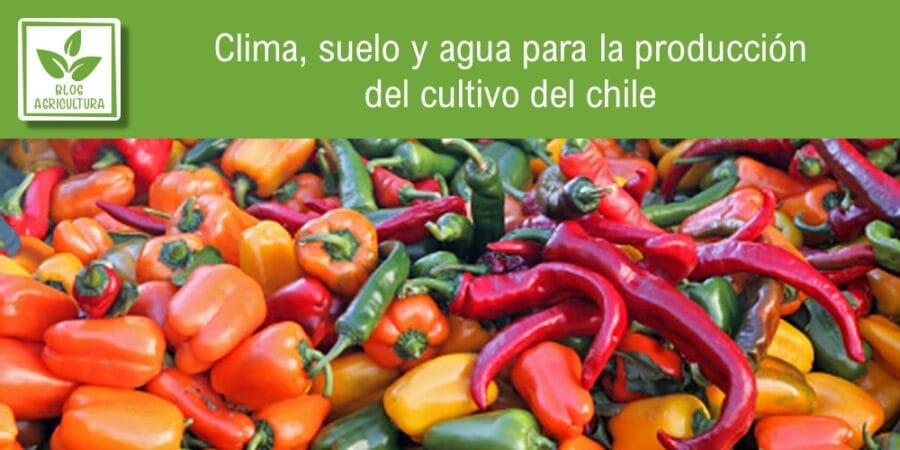 Clima, suelo y agua para la producción del cultivo del chile