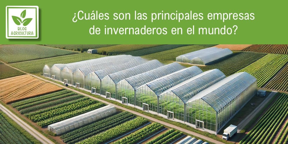 Artículo: ¿Cuáles son las principales empresas de invernaderos en el mundo?