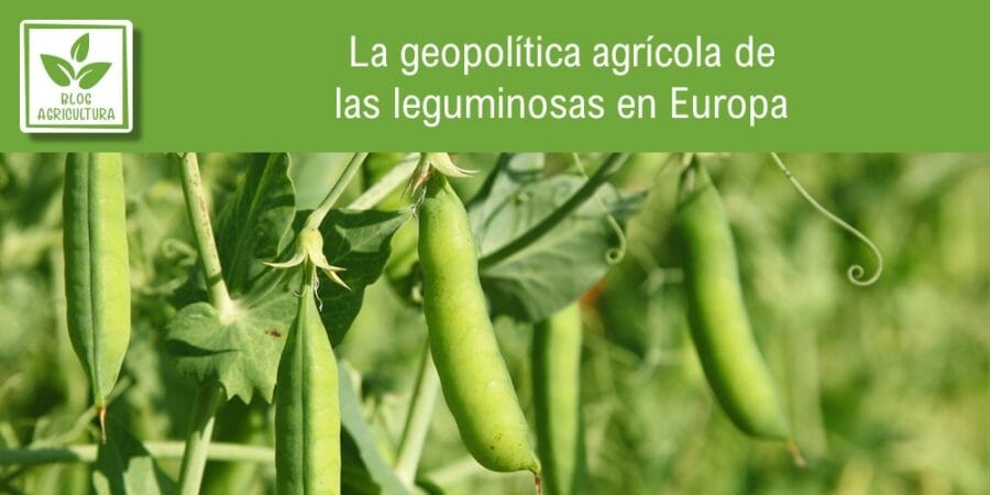 La geopolítica agrícola de las leguminosas en Europa