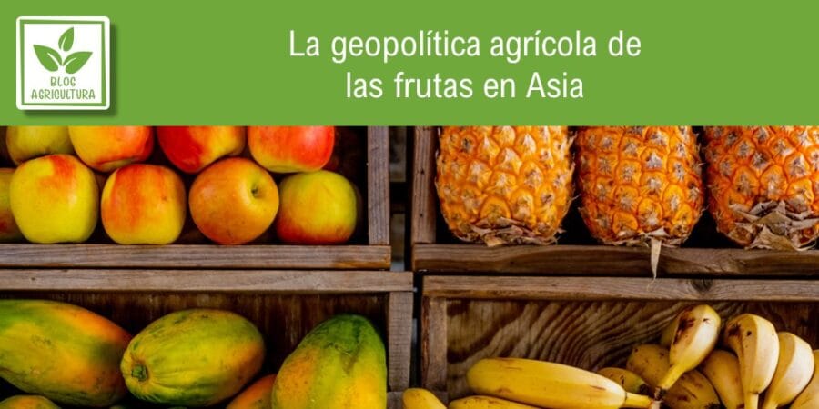 La geopolítica agrícola de las frutas en Asia