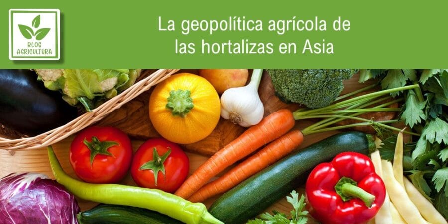 La geopolítica agrícola de las hortalizas en Asia