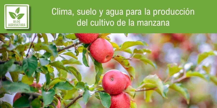 Clima, suelo y agua para la producción del cultivo de la manzana