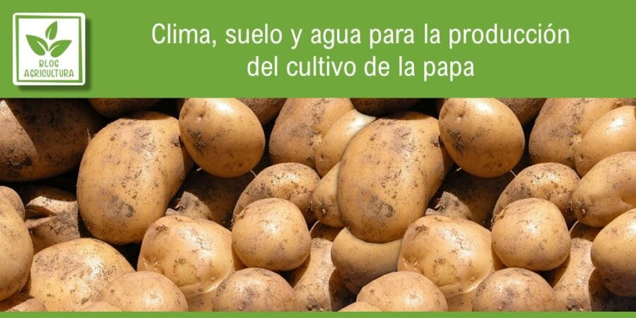 Clima, suelo y agua para la producción del cultivo de la papa