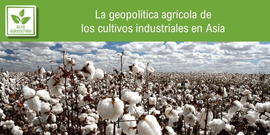 La geopolítica agrícola de los cultivos industriales en Asia