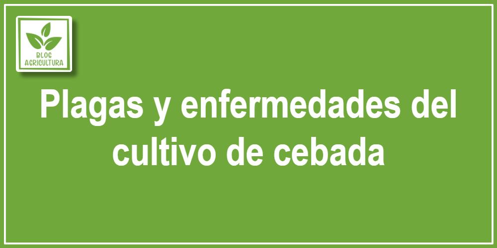 Plagas y enfermedades del cultivo de cebada