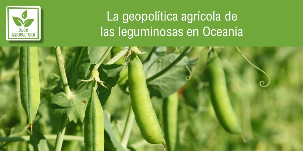 Geopolítica agrícola de leguminosas en Oceanía