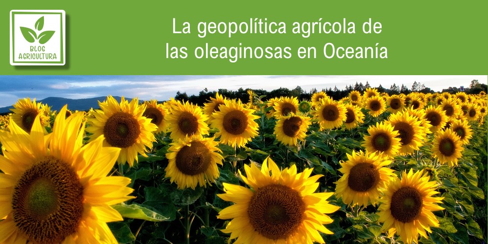 Geopolítica agrícola de oleaginosas en Oceanía