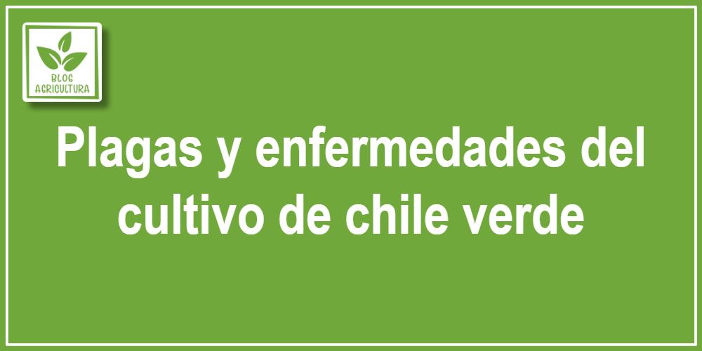 Plagas y enfermedades del cultivo de chile verde