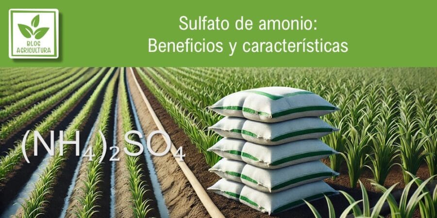 Sulfato de amonio: beneficios y características
