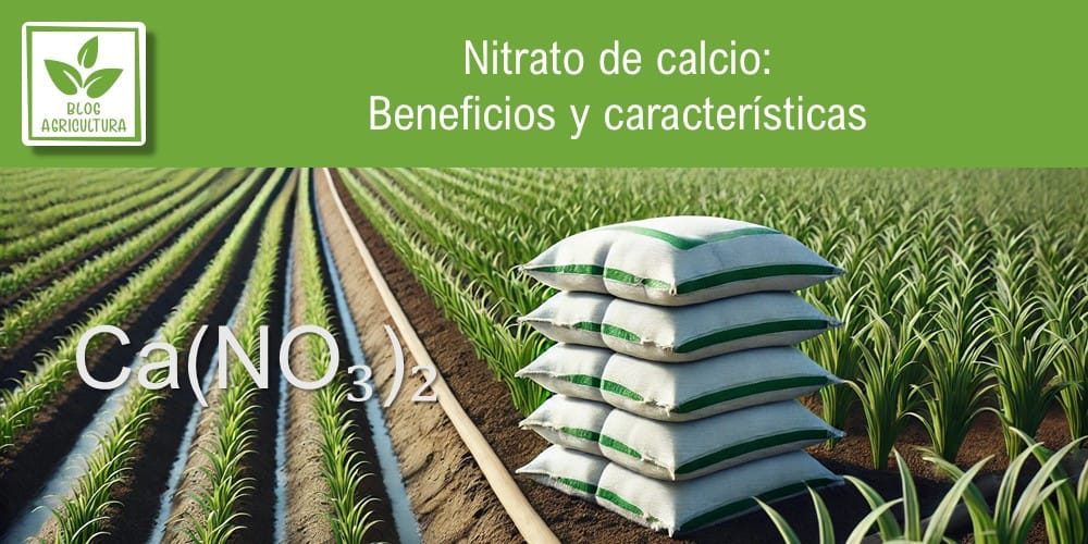 Artículo: Nitrato de calcio: Beneficios y características