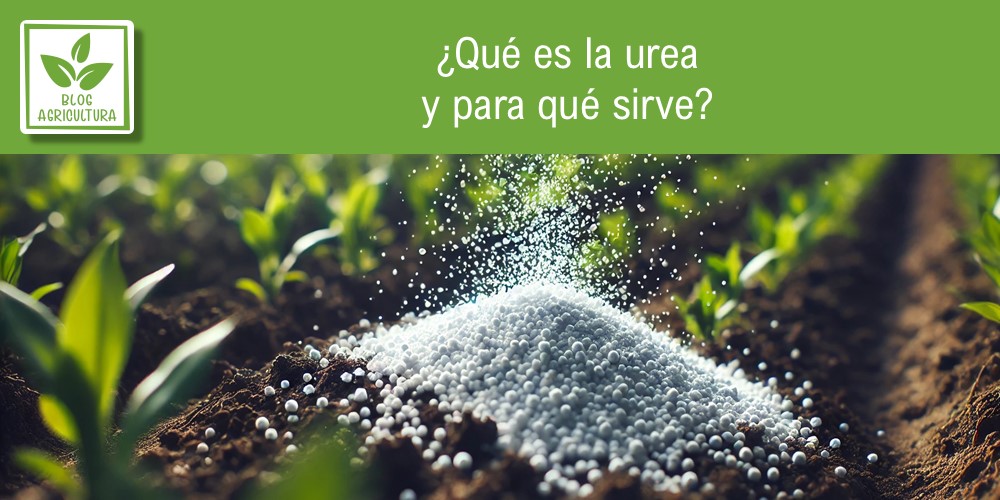 Qué Es La Urea Y Para Qué Sirve