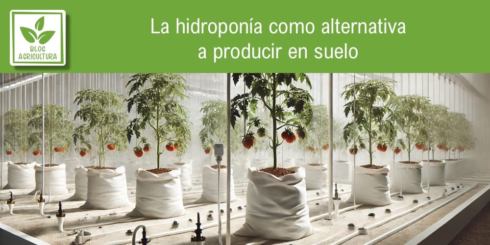La hidroponía como alternativa a producir en suelo