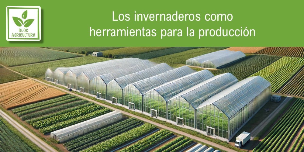 Artículo: Los invernaderos como herramientas para la producción