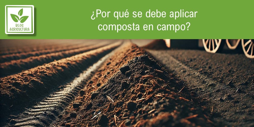 Artículo: ¿Por qué se debe aplicar composta en campo?