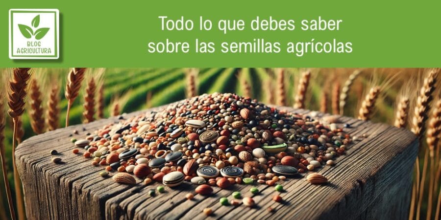 Todo lo que debes saber sobre las semillas agrícolas
