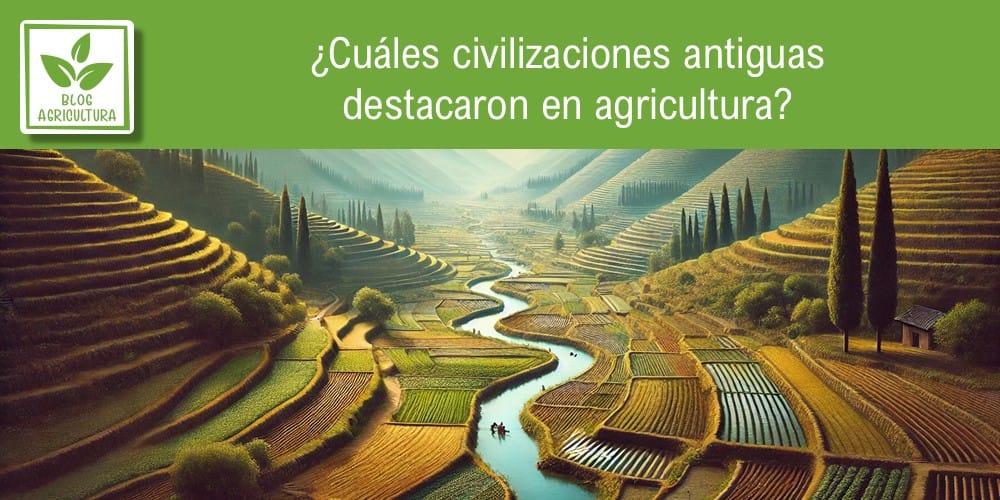 Artículo: ¿Cuáles civilizaciones antiguas destacaron en agricultura?
