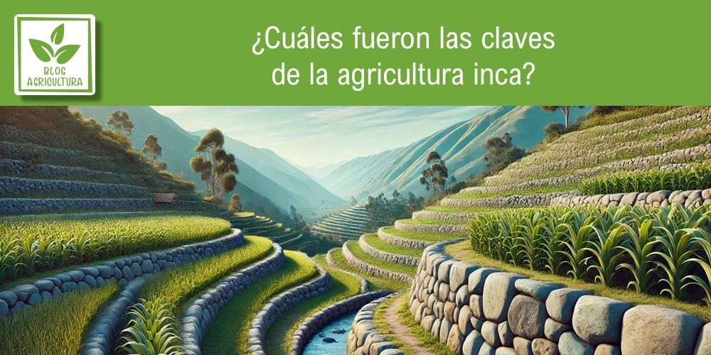 Artículo: ¿Cuáles fueron las claves de la agricultura inca?