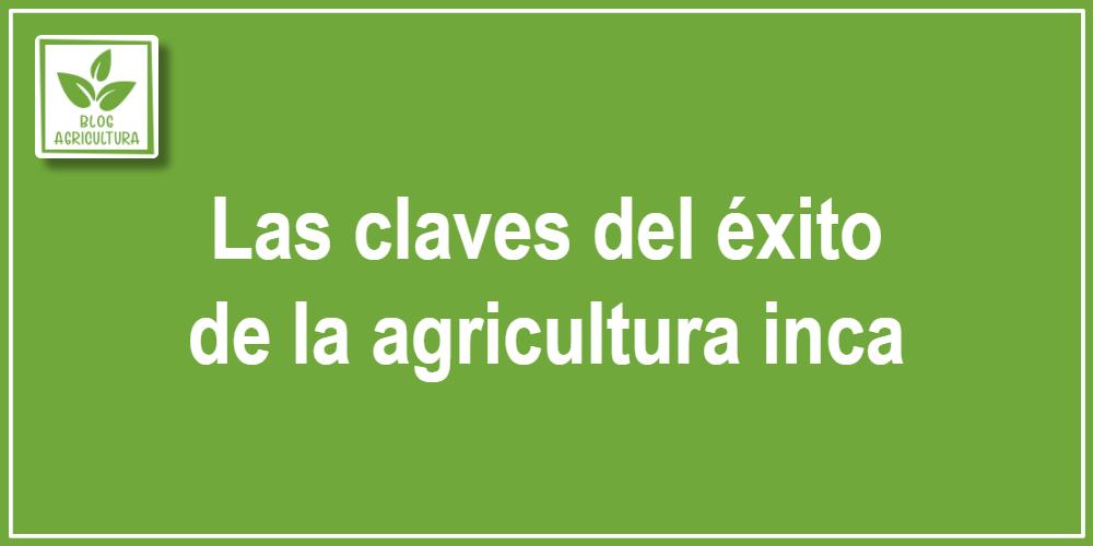 Las claves del éxito de la agricultura inca