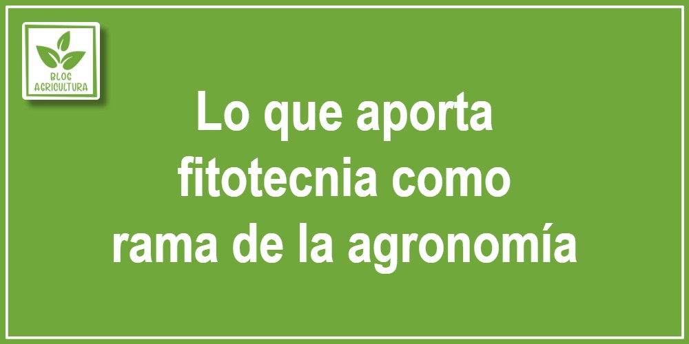 Lo que aporta fitotecnia como rama de la agronomía