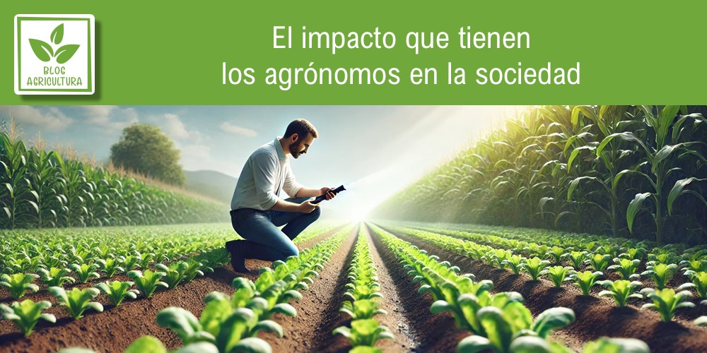 El impacto que tienen los agrónomos en la sociedad
