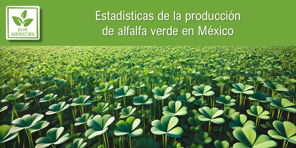 Conoce los principales datos de la producción de alfalfa verde en México