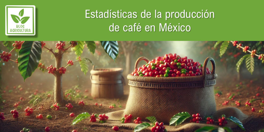 Estadísticas de producción de café en México