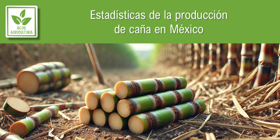 Estadísticas de producción de caña en México
