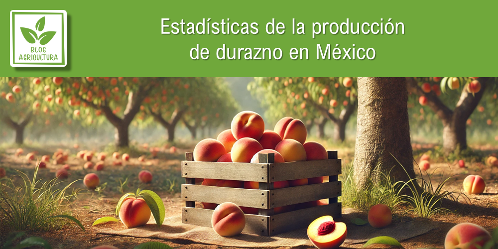 Conoce los principales datos de la producción de durazno en México