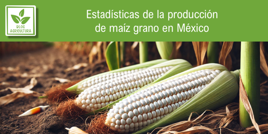Estadísticas de producción de maíz grano en México