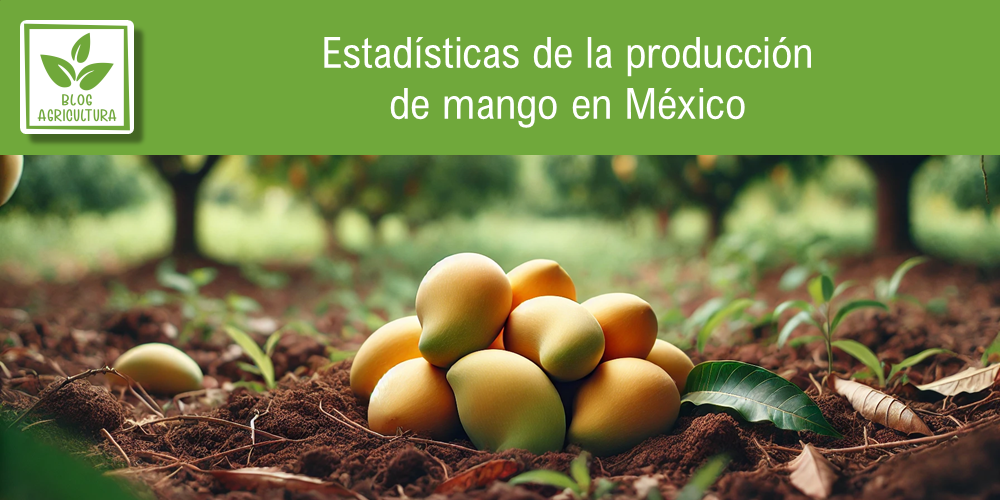 Estadísticas de producción de mango en México