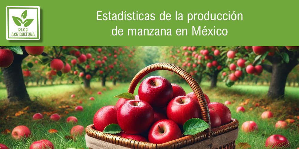 Conoce los principales datos de la producción de manzana en México