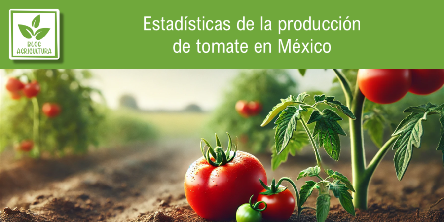 Estadísticas de producción de tomate en México