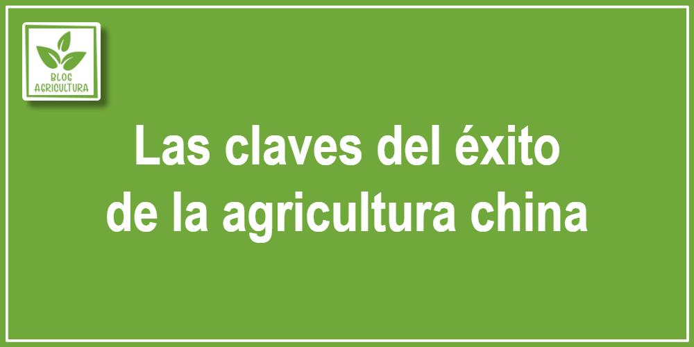 Las claves del éxito de la agricultura china