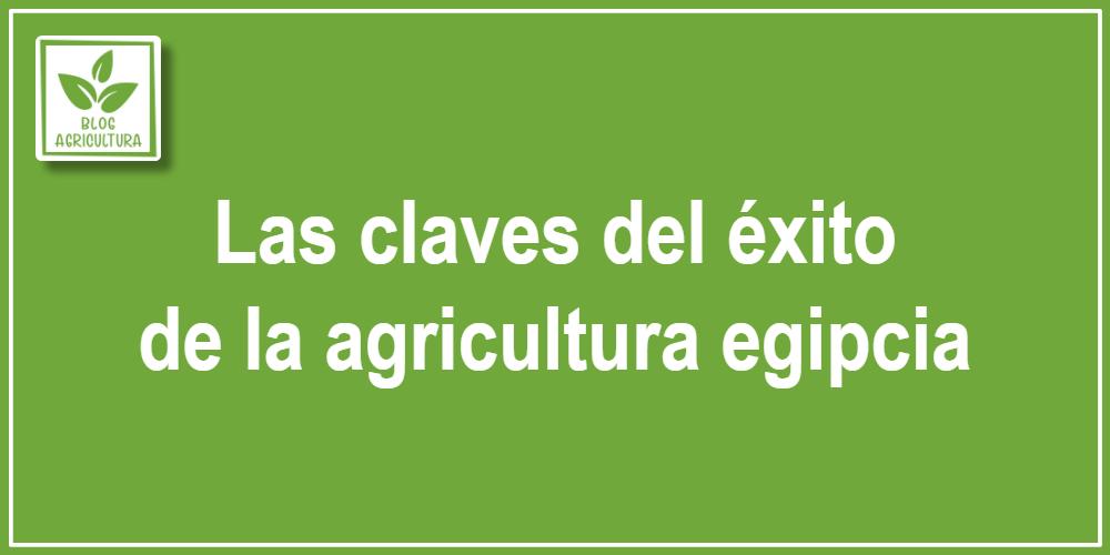 Las claves del éxito de la agricultura egipcia