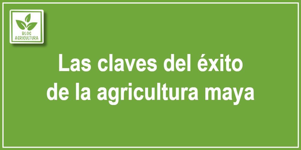 Las claves del éxito de la agricultura maya