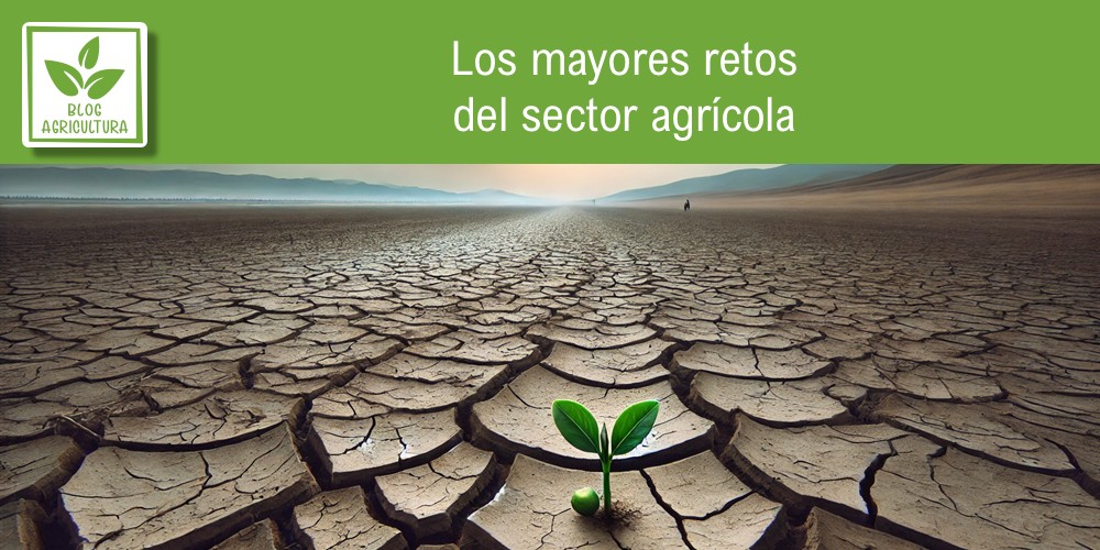 Los mayores retos del sector agrícola